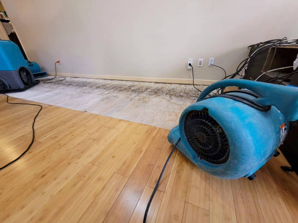 Professional Flood Damage Cleanup technician working in Incline Village, NV